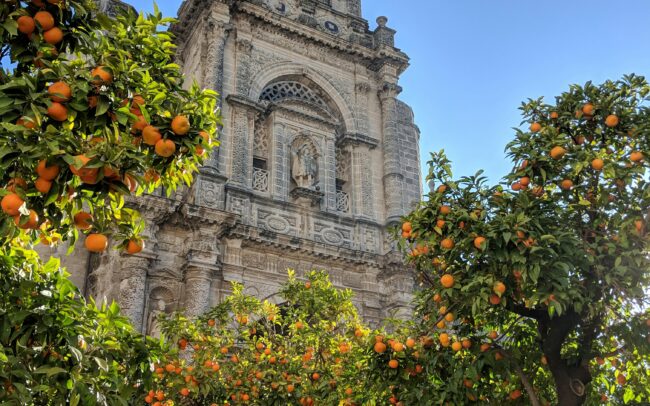 Jerez de la Frontera, unsplash