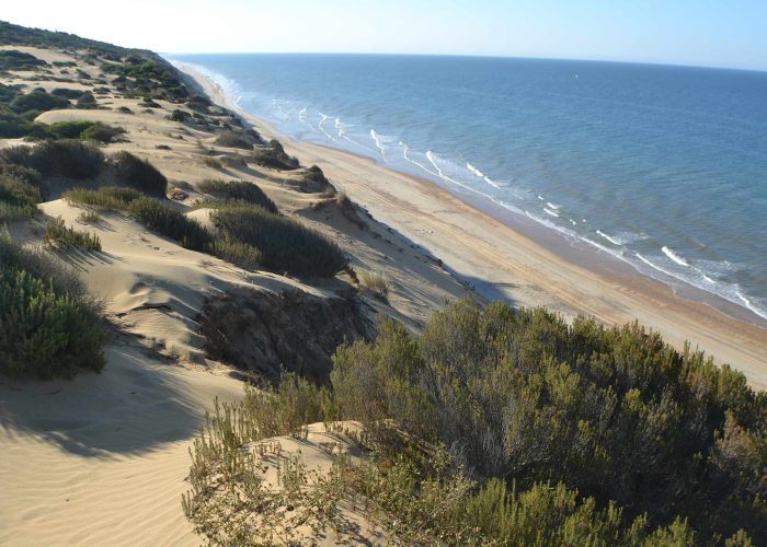 Parque Nacional de Doñana