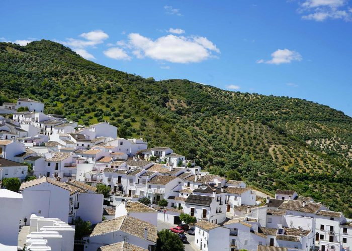 Private chauffeured services