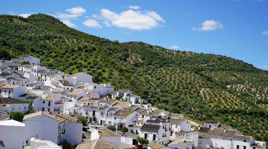 Private chauffeured services