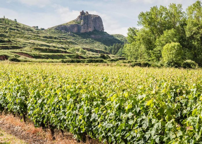 Bilbao Wine Trip Day Experience