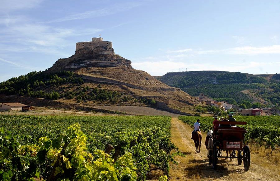Ribera del Duero Wine Route