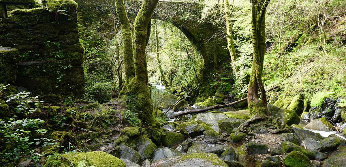 Mystical Galicia: Forests, Waterfalls & Ancient Sites
