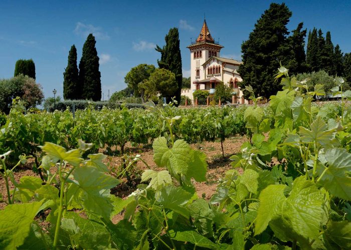 Tailor-Made Experiences and Day Trips in Catalonia and Barcelona