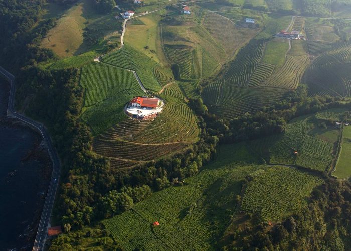Basque Countryside and Txakoli Wineries