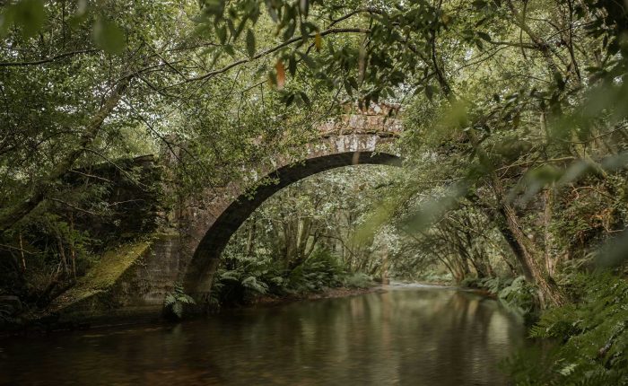 Galicia: tailor-made day excursions